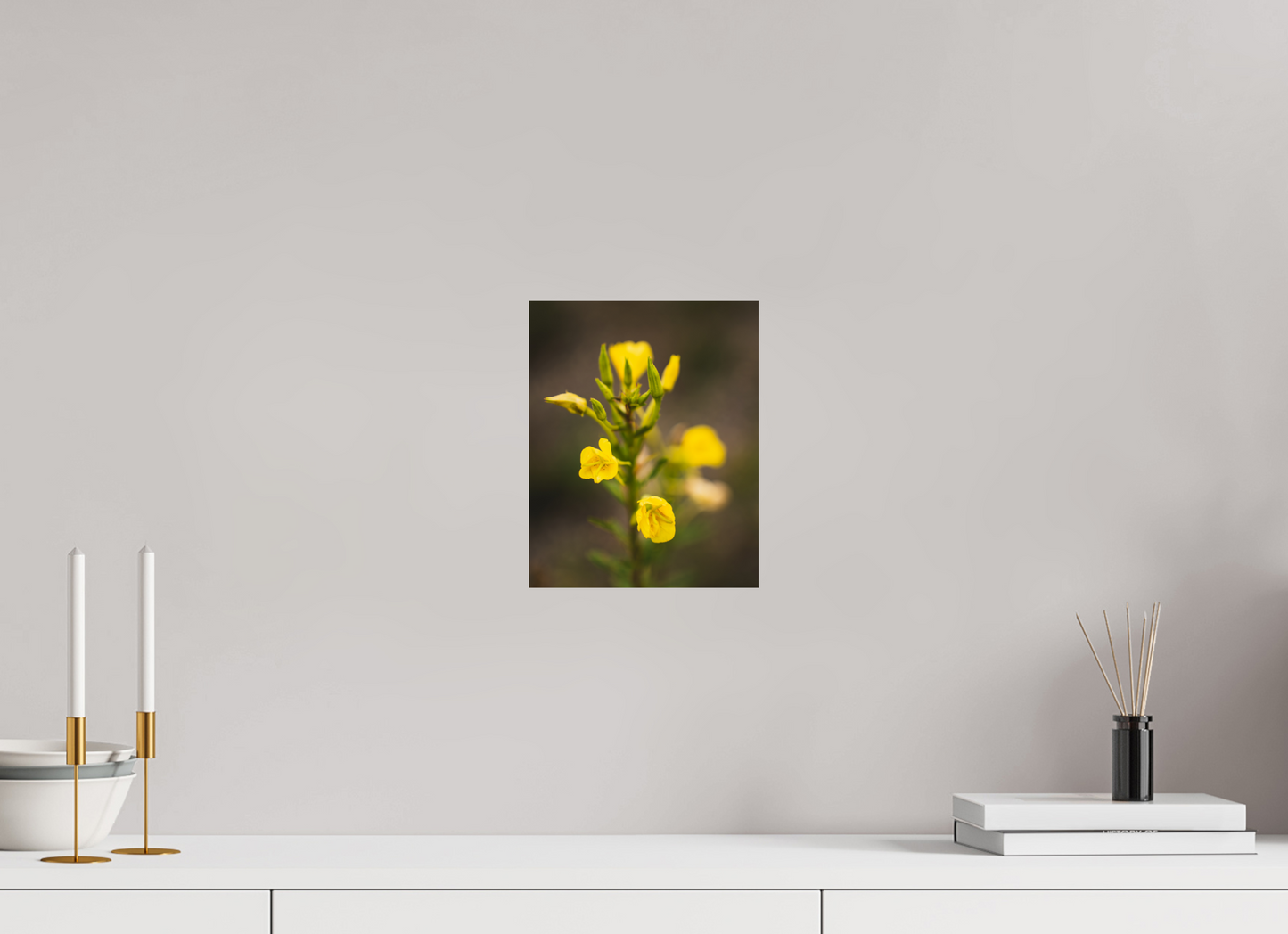 Golden Evening Primrose Bloom