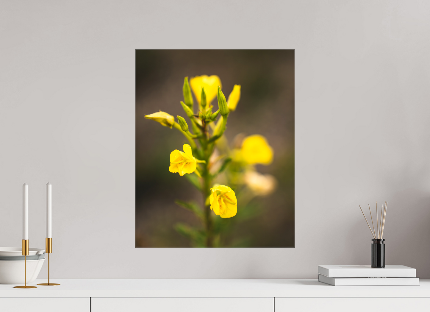 Golden Evening Primrose Bloom