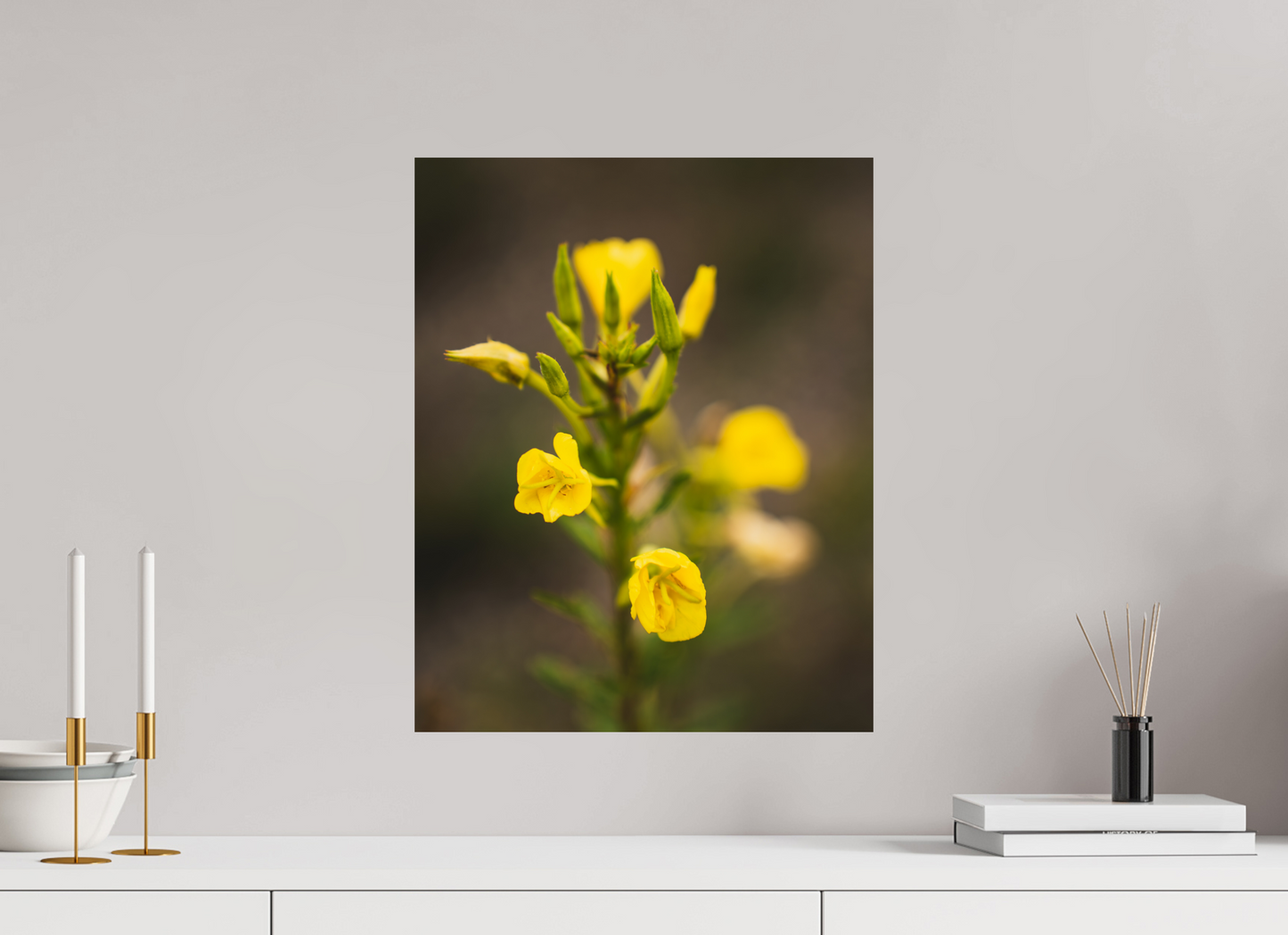 Golden Evening Primrose Bloom
