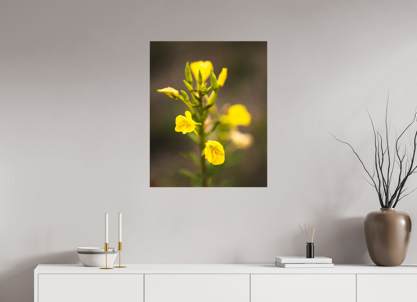 Golden Evening Primrose Bloom