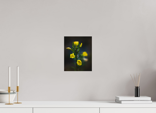 Cool Tone Flowers