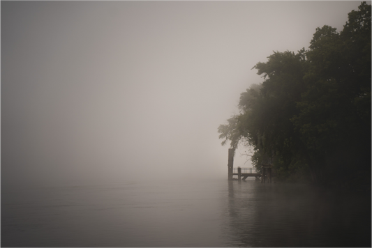 Foggy September