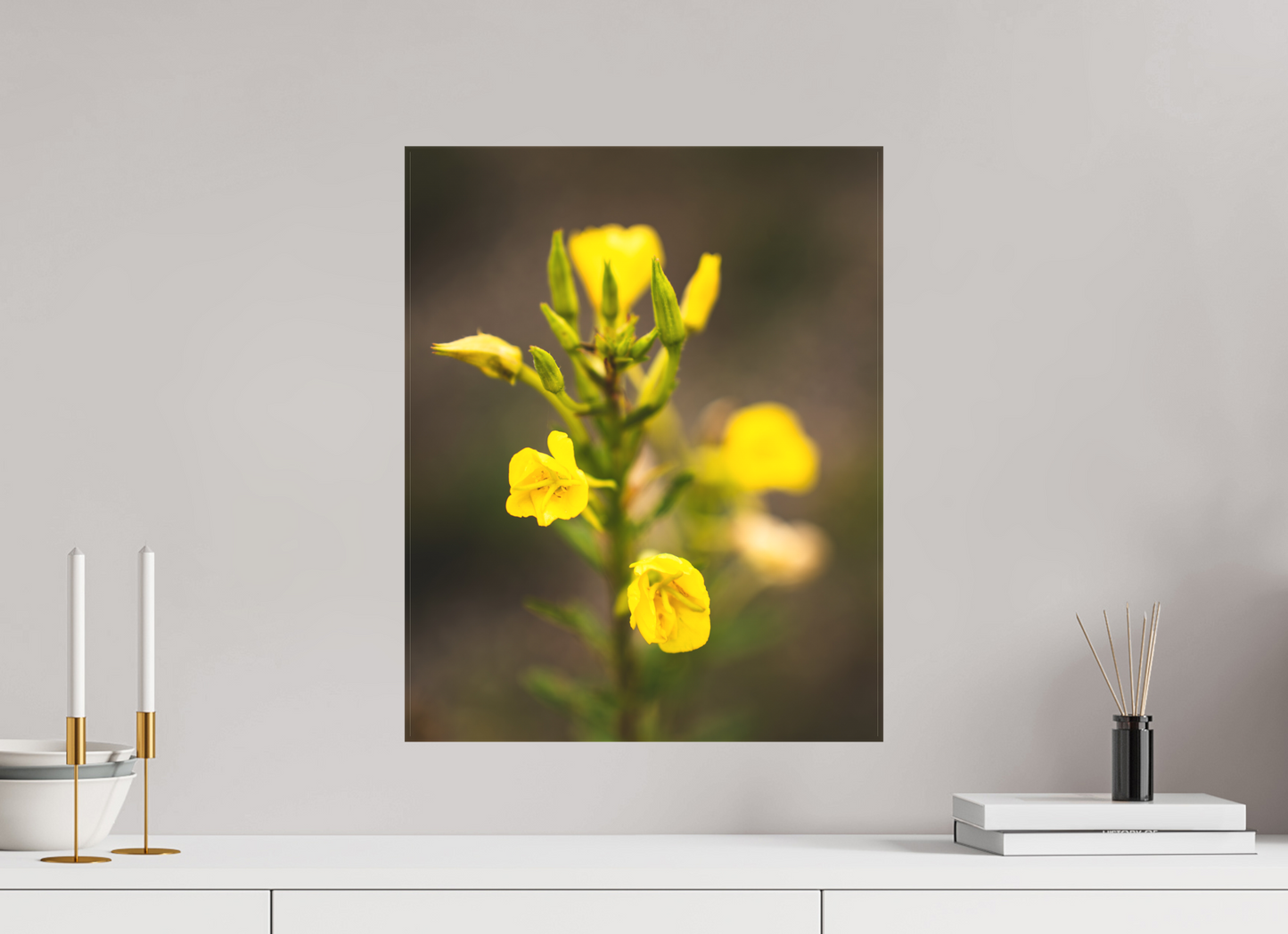 Golden Evening Primrose Bloom