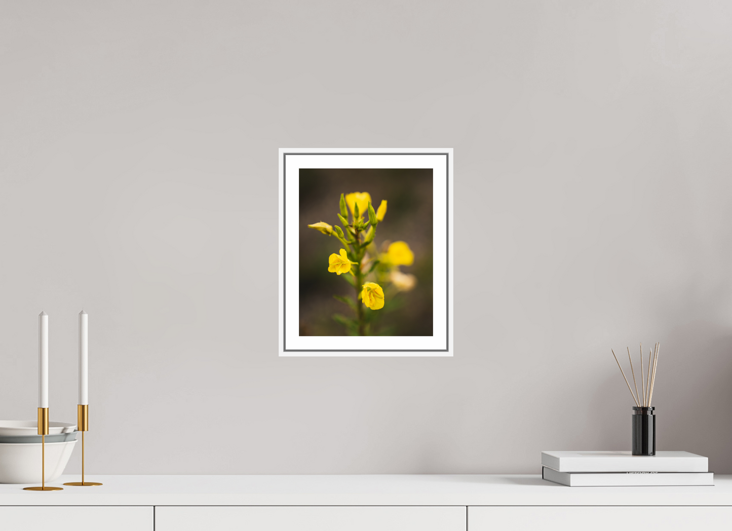 Golden Evening Primrose Bloom