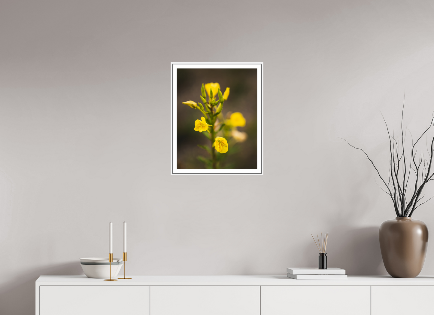 Golden Evening Primrose Bloom