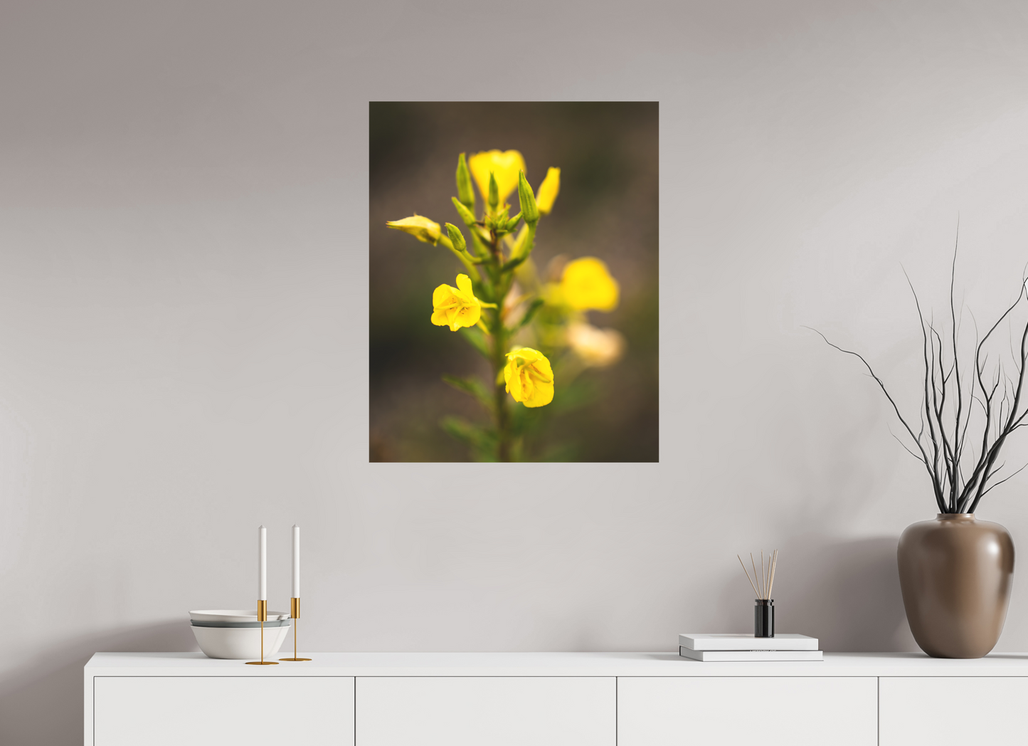 Golden Evening Primrose Bloom
